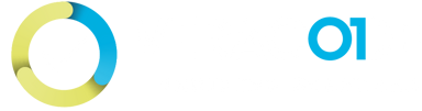 Veracode Verified Standard