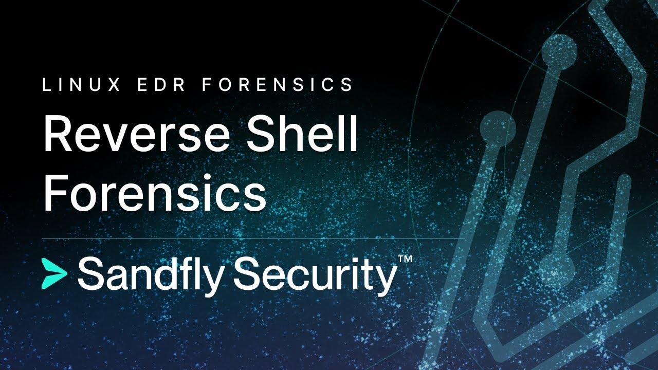 Linux Reverse Shell Detection, Investigation, and Forensics
