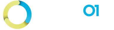 Veracode Verified Standard