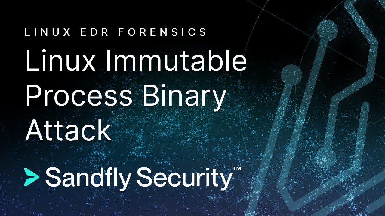 Linux Immutable Malware Process Binary Attack