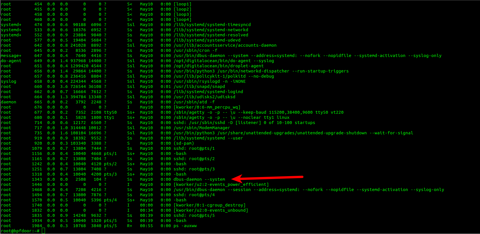 blog-imagesbpfdoor-an-evasive-linux-backdoor-technical-analysis04-bpfdoor-ps-listing