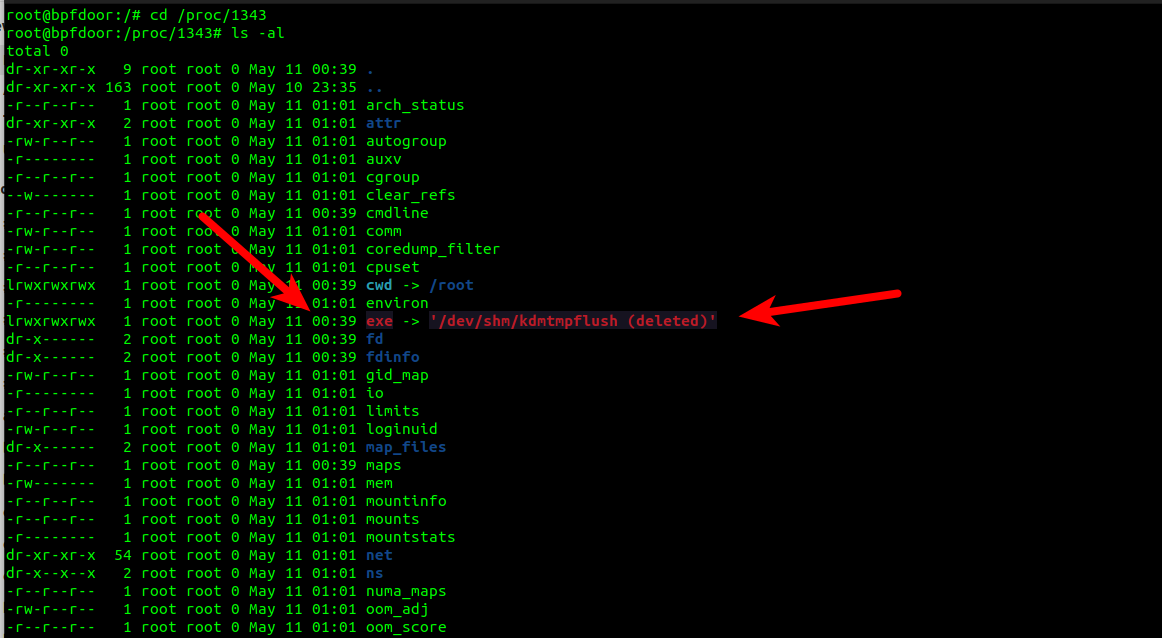 blog-imagesbpfdoor-an-evasive-linux-backdoor-technical-analysis06-bpfdoor-proc-listing