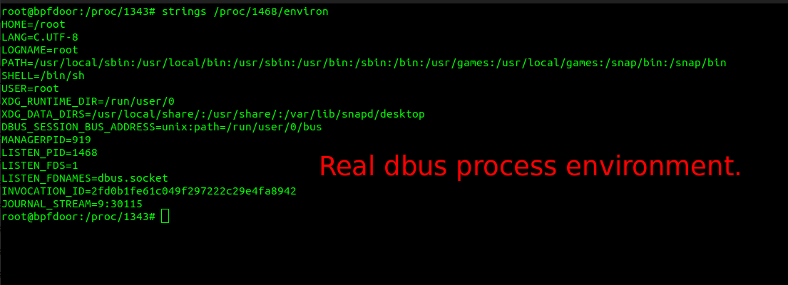 blog-imagesbpfdoor-an-evasive-linux-backdoor-technical-analysis08-bpfdoor-real-dbus-process-environment