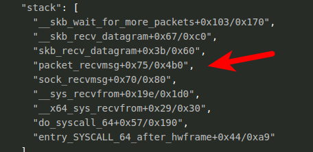 blog-imagesbpfdoor-an-evasive-linux-backdoor-technical-analysis09-bpfdoor-stack-packet