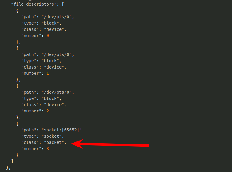 blog-imagesbpfdoor-an-evasive-linux-backdoor-technical-analysis12-bpfdoor-packet-socket