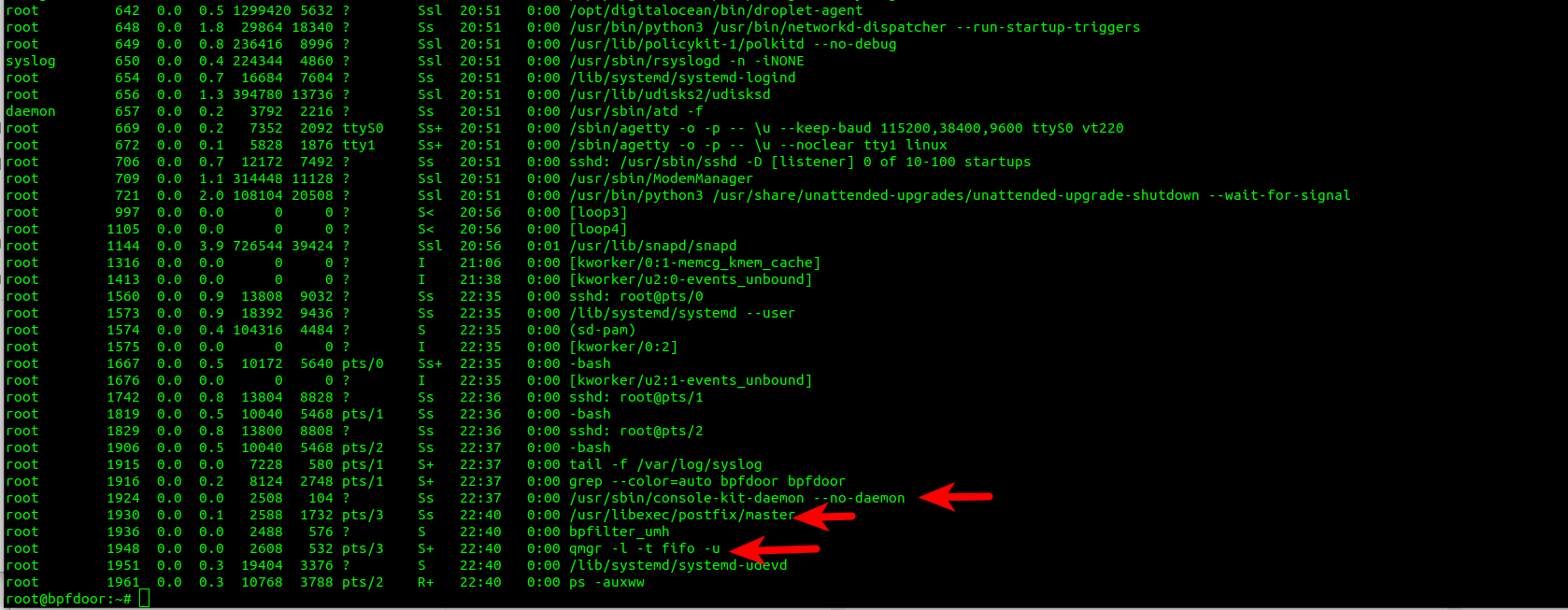 blog-imagesbpfdoor-an-evasive-linux-backdoor-technical-analysis15-bpfdoor-ps-listing-shell-running