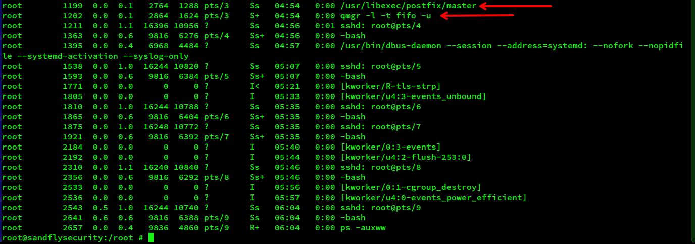 blog-imagesbpfdoor-detection-analysis-and-hunting-tactics-on-linux18-bpfdoorv1-bindshell-process-listing-1