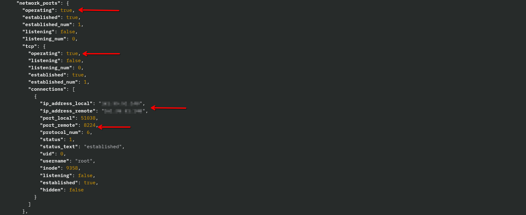 blog-imagesbpfdoor-detection-analysis-and-hunting-tactics-on-linux23-bpfdoorv1-process-network-port-established-from-dev-dir-raw-connections-1