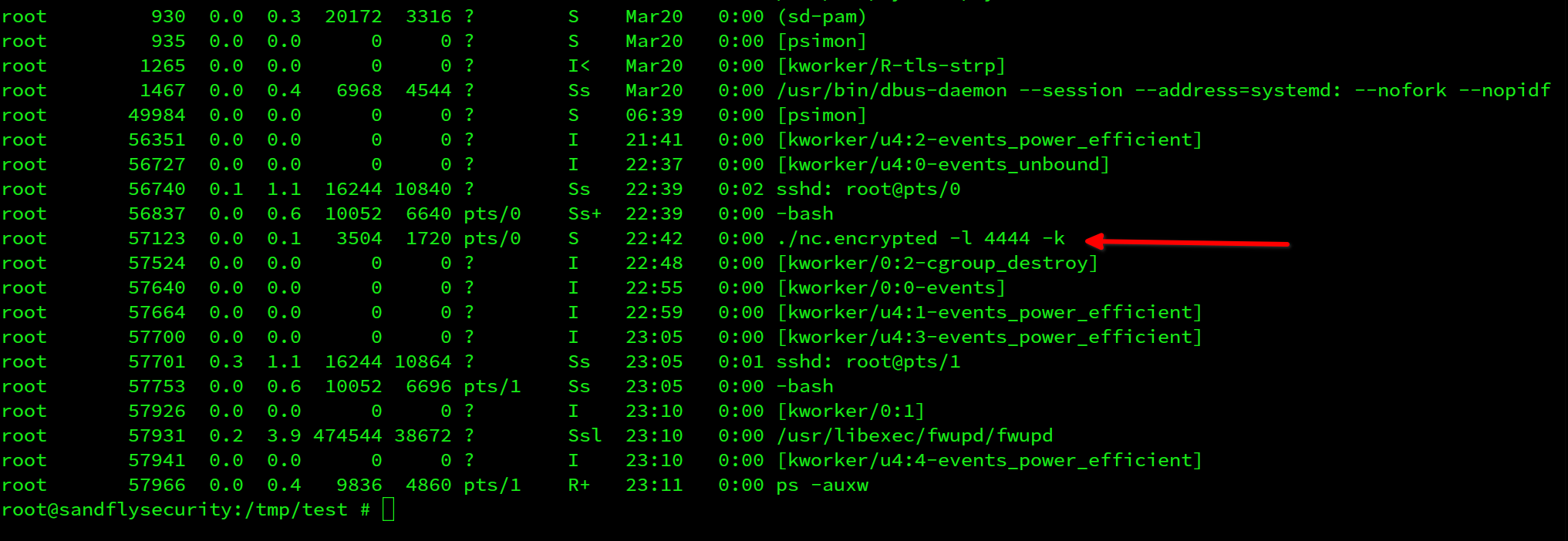 blog-imagesdetecting-bincrypter-linux-malware-obfuscation03-bincrypter-ps-listing