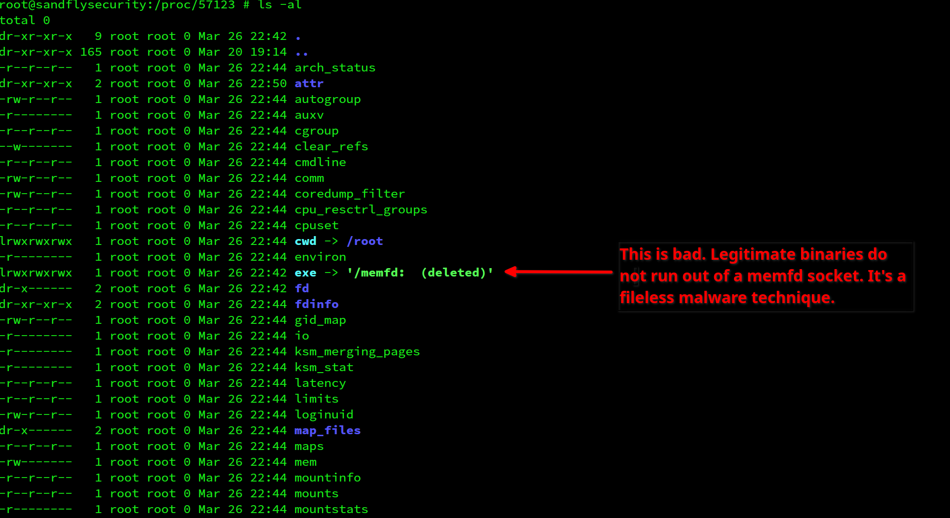 blog-imagesdetecting-bincrypter-linux-malware-obfuscation04-bincrypter-proc-listing