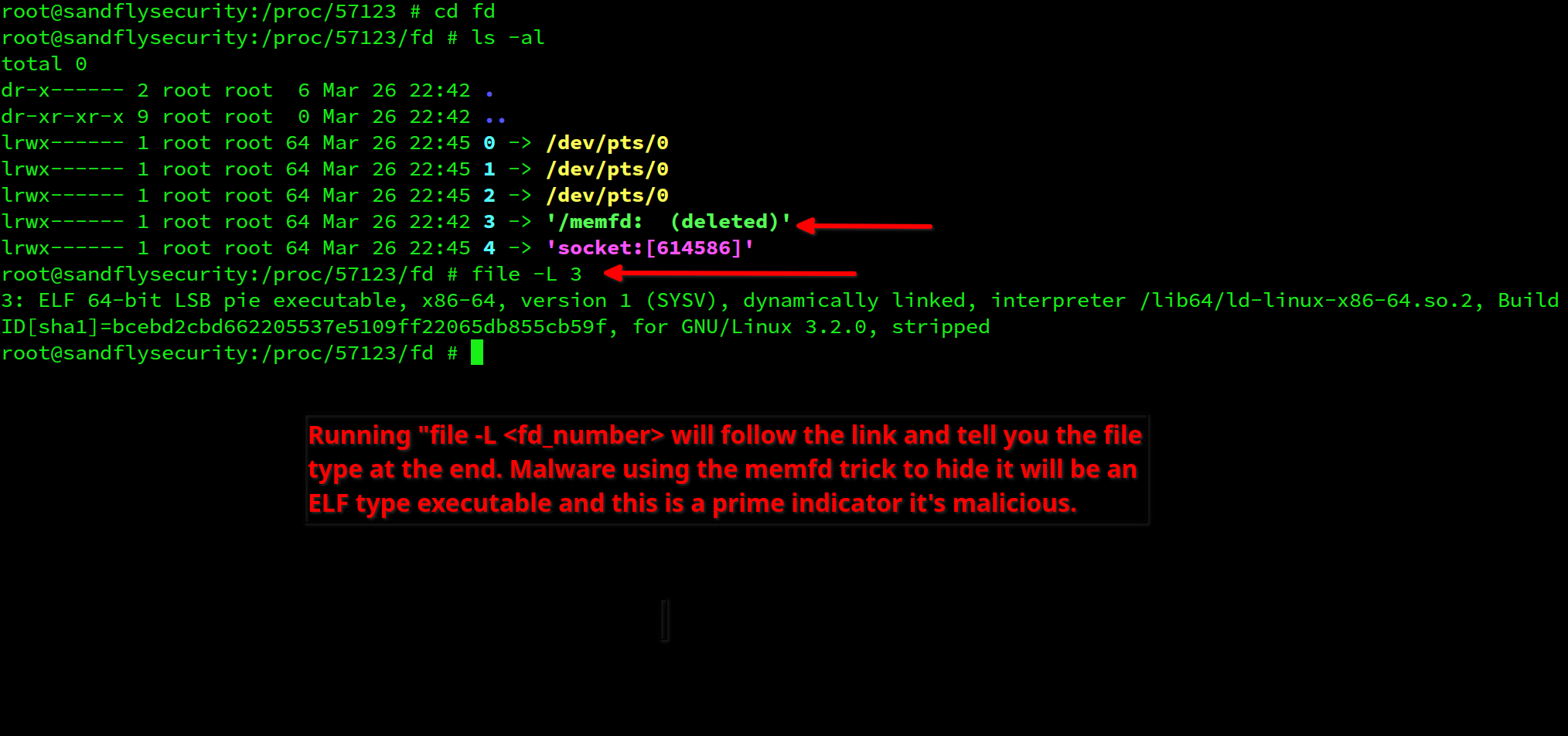 blog-imagesdetecting-bincrypter-linux-malware-obfuscation05-bincryptor-fd-file-elf-type