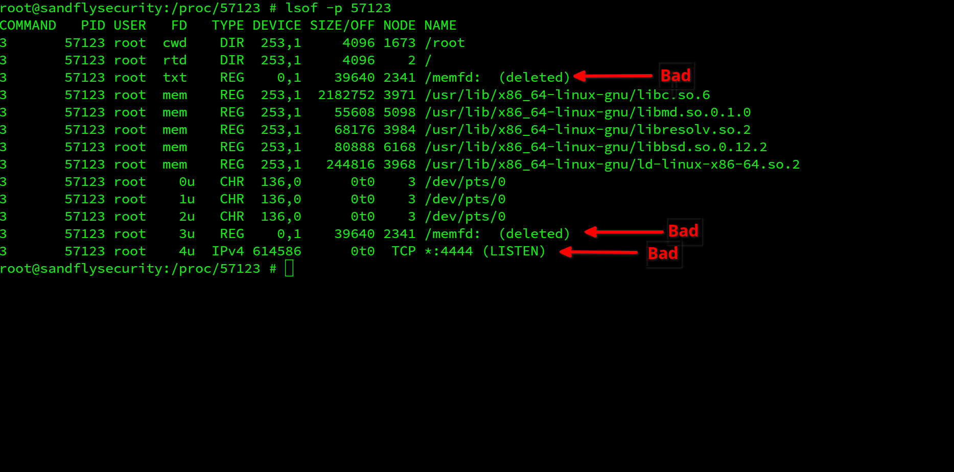 blog-imagesdetecting-bincrypter-linux-malware-obfuscation08-bincrypter-lsof