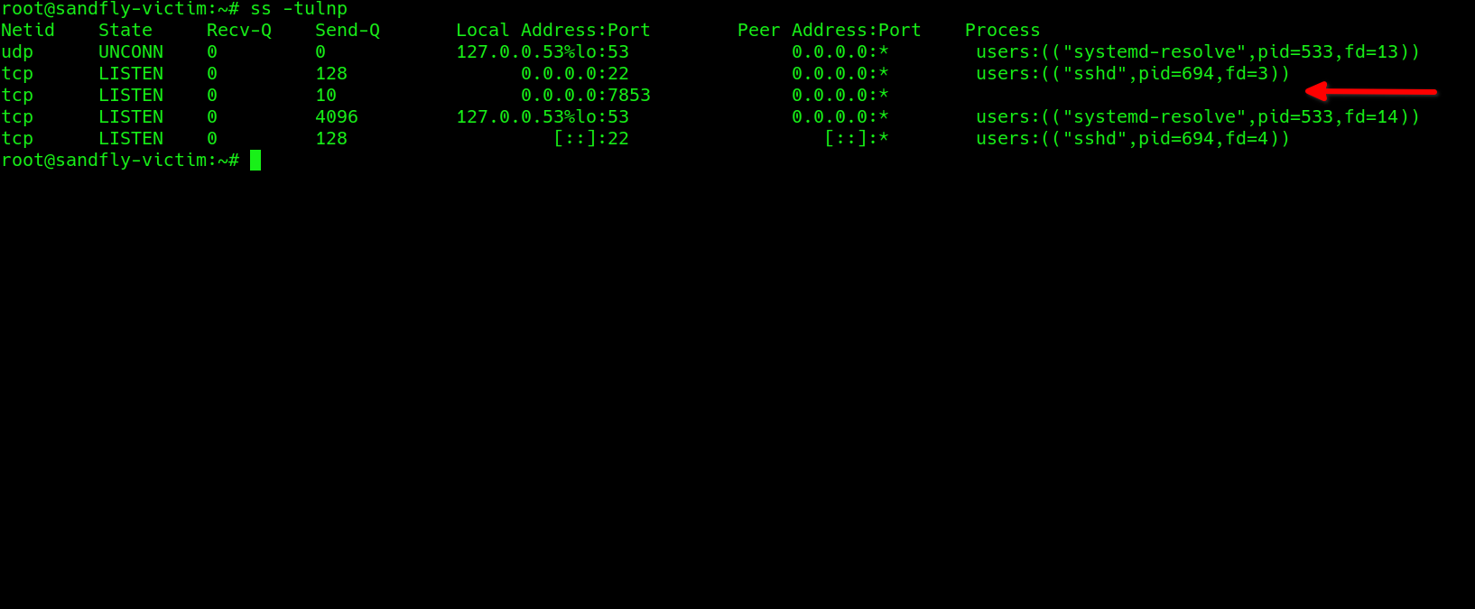 blog-imagesleaked-north-korean-linux-stealth-rootkit-analysis18-korea-bindshell-active-port-22-ss-listening-port-command-output-no-process
