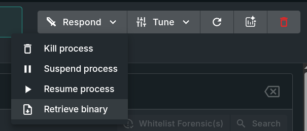 blog-imageslinux-scales-ebpf-rootkit-detection-and-analysis09-sandfly-respond-grab-process-binary