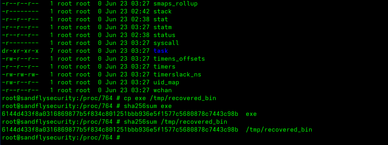 blog-imageslinux-scales-ebpf-rootkit-detection-and-analysis10-recover-bin-sha256sum