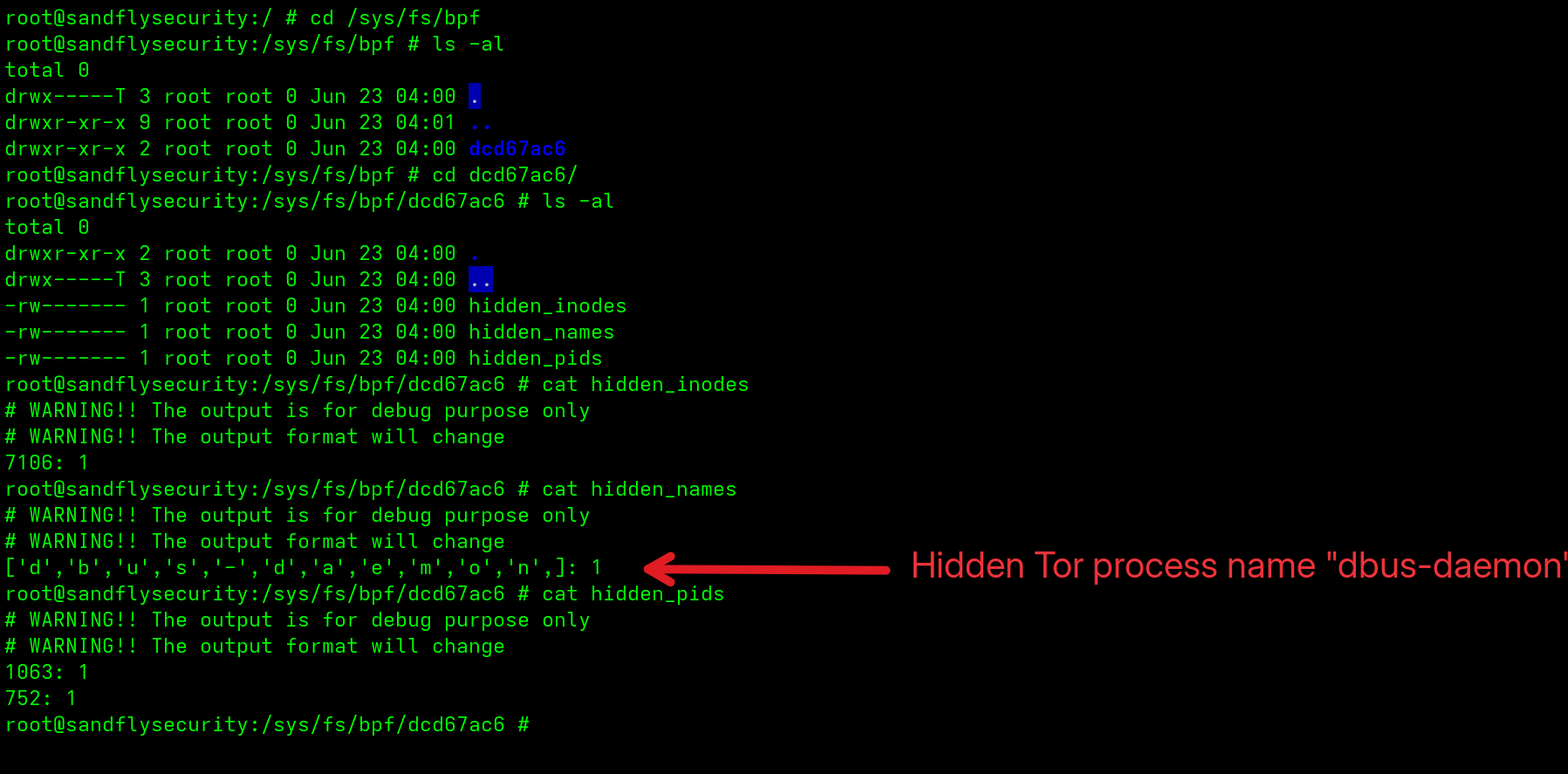 blog-imageslinux-scales-ebpf-rootkit-detection-and-analysis16-cd-sys-fs-bpf-cat-hidden_pids-hidden_names-hidden_inodes
