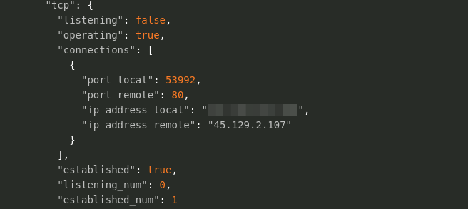 blog-imageslog4j-kinsing-linux-malware-in-the-wild09-kinsing-malcious-process-tcpip-data