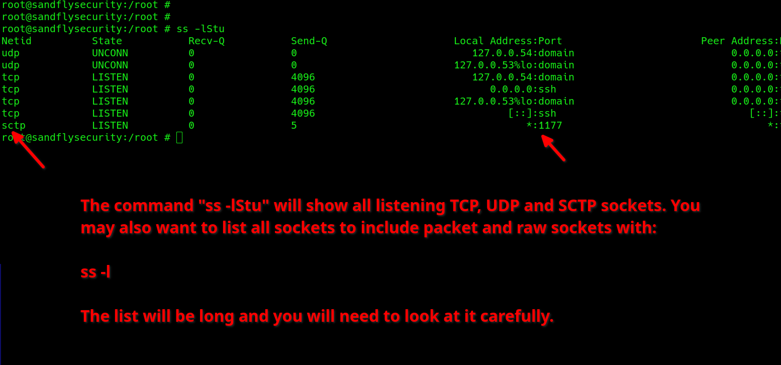 blog-imagessctp-protocol-attack-risks-on-linux04-sctp-ss-lstu