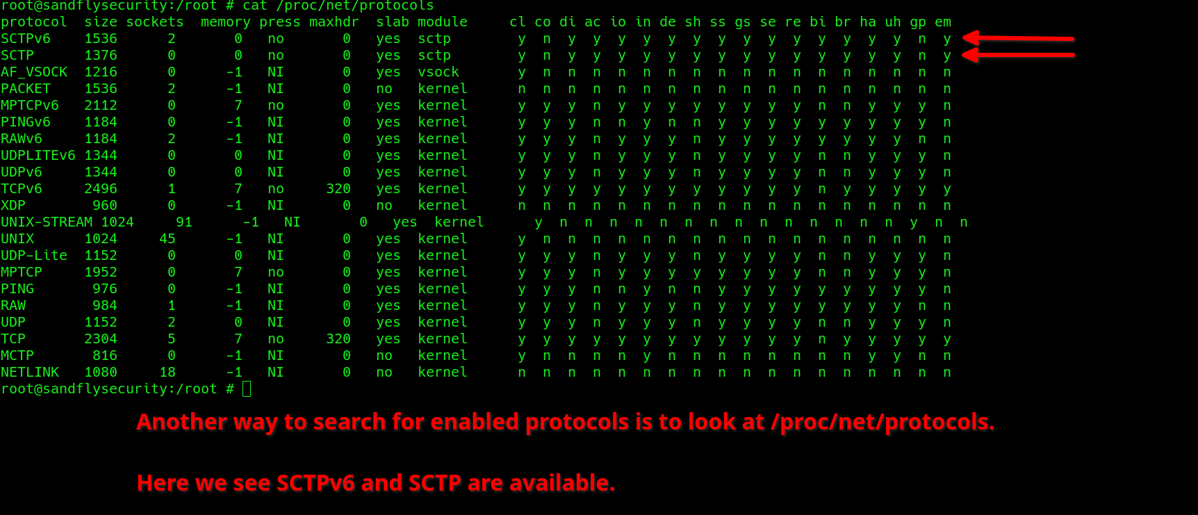blog-imagessctp-protocol-attack-risks-on-linux06-sctp-proc-net-protocols