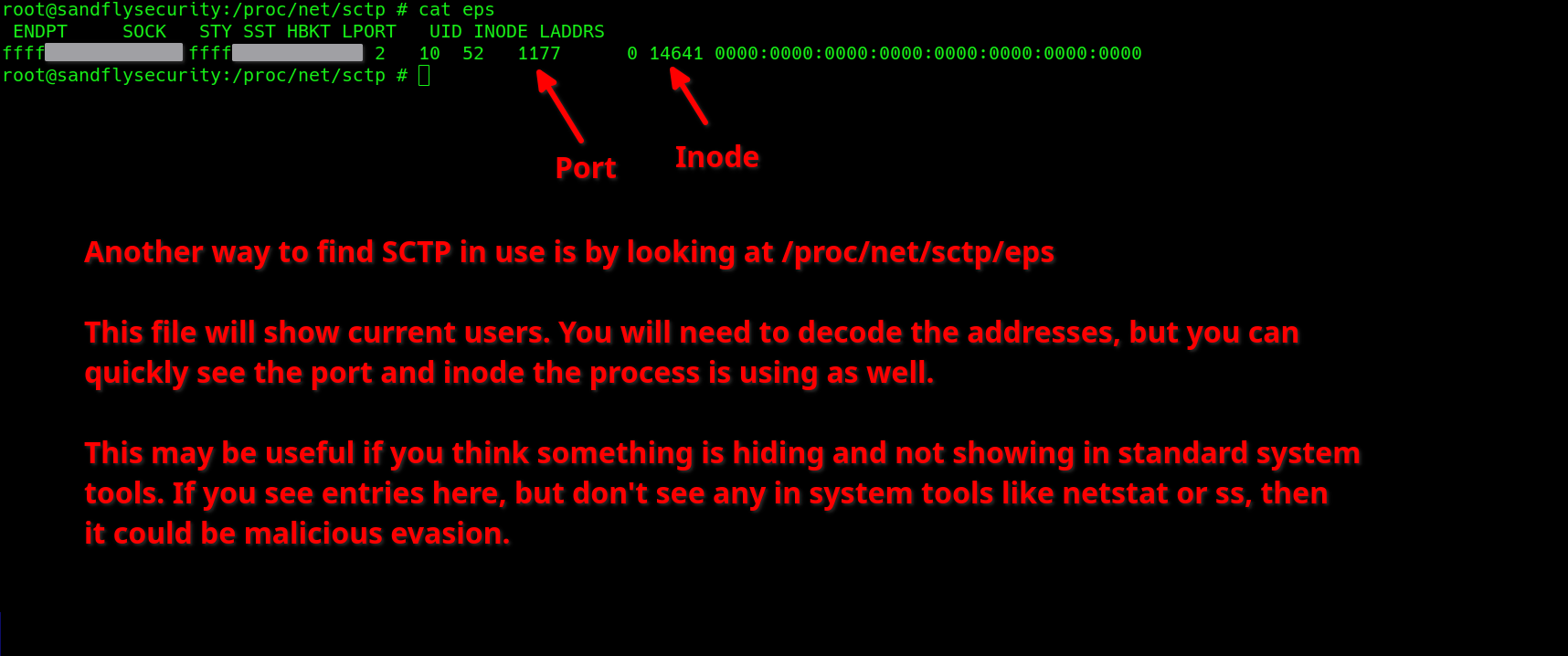 blog-imagessctp-protocol-attack-risks-on-linux07-sctp-proc-net-sctp-eps-raw
