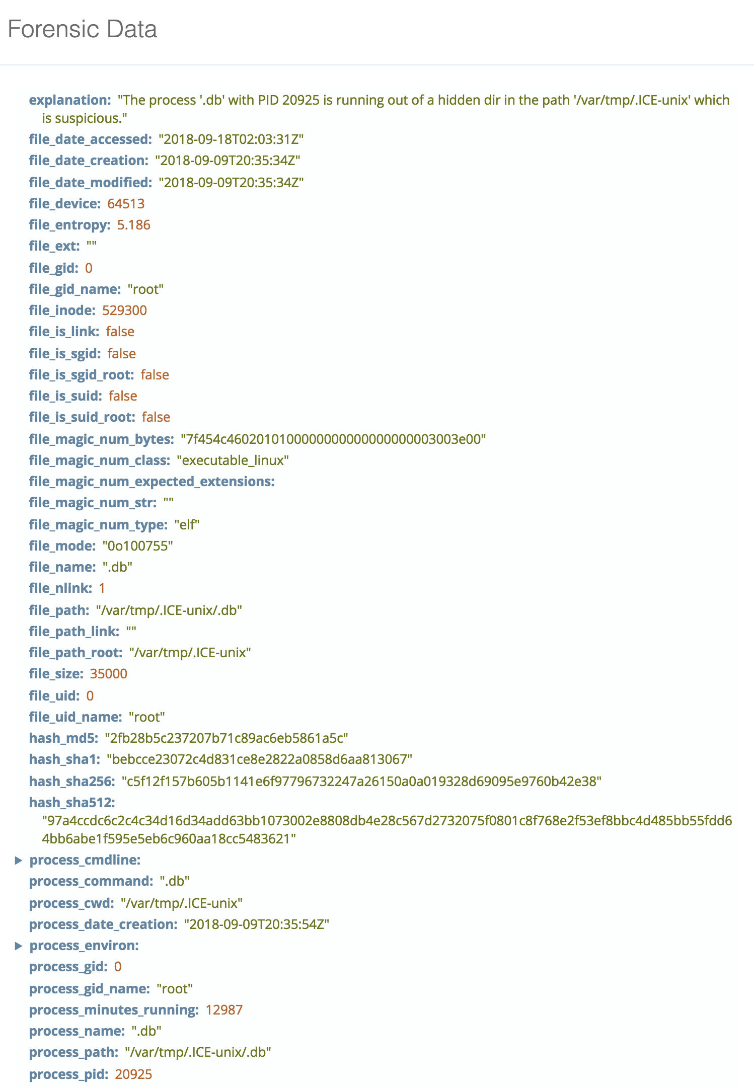 blog-imagessandfly-1-4-4-mind-your-pidness01-hidden-subdir-process