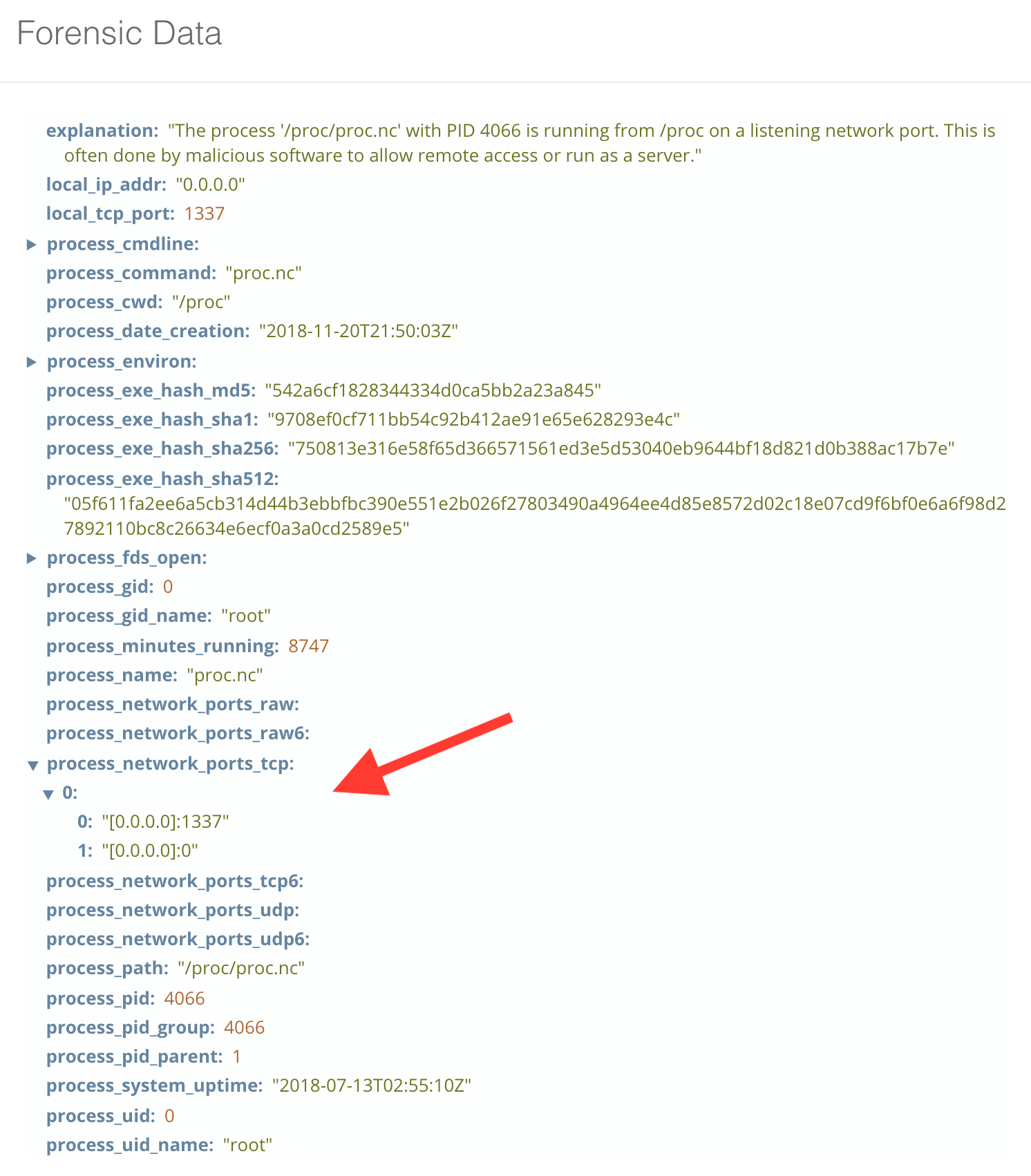 blog-imagessandfly-1-5-0-released01-network-process-example-ports-open