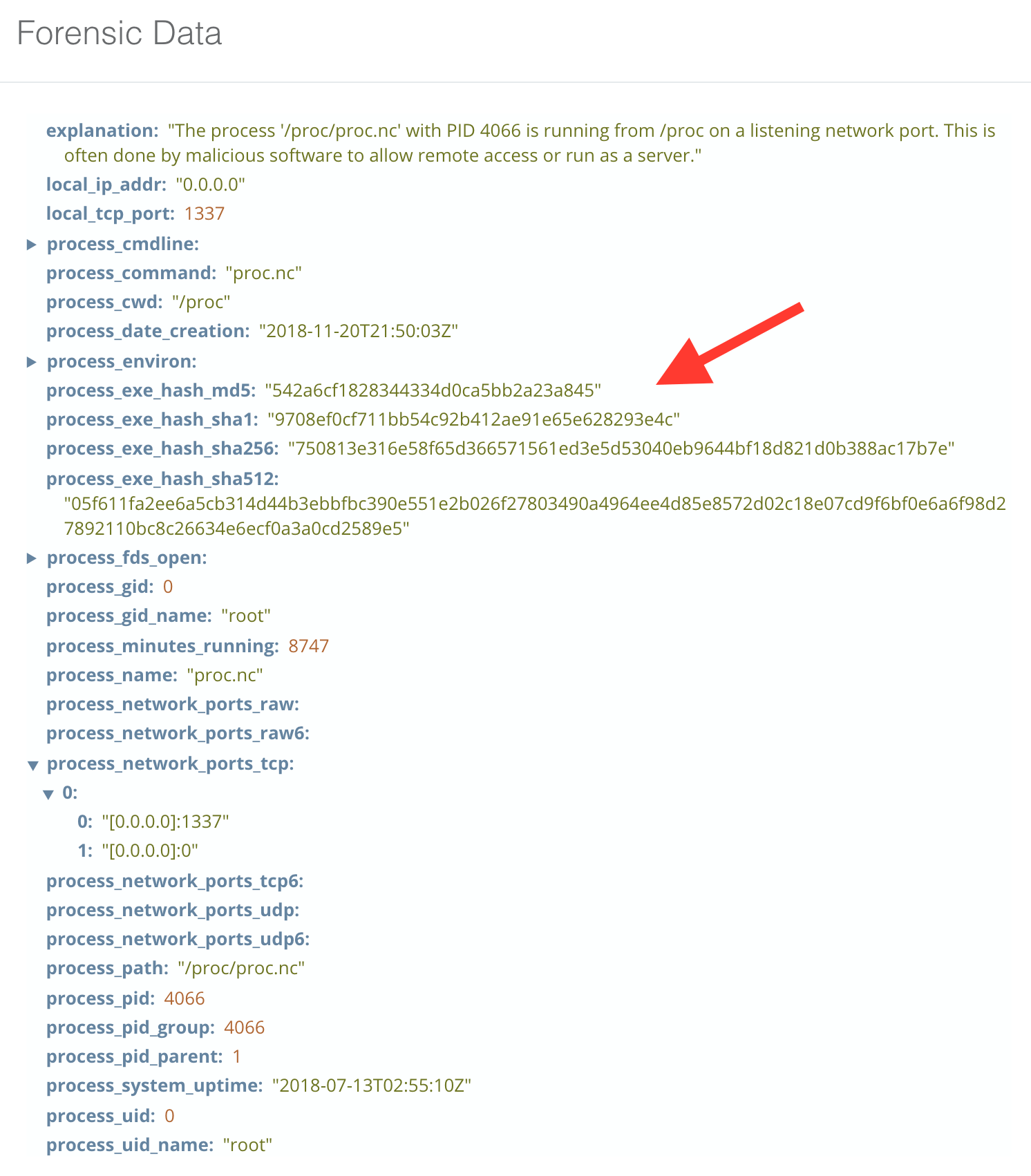 blog-imagessandfly-1-5-0-released02-network-process-example-hashes
