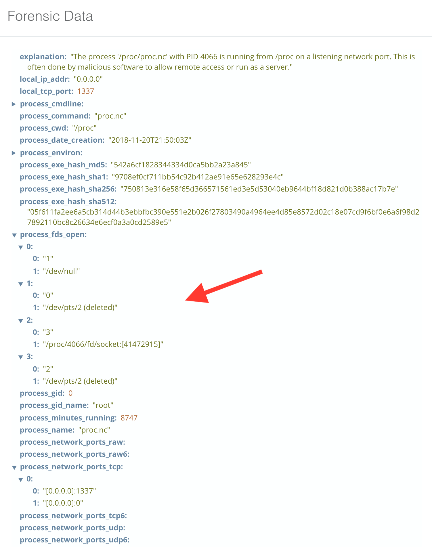 blog-imagessandfly-1-5-0-released03-network-process-fds-open