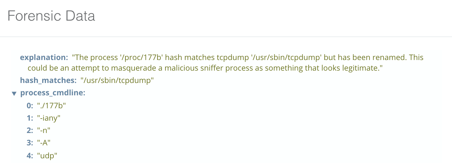 blog-imagessandfly-1-5-0-released08-sandfly-process-masquerade-tcpdump-1