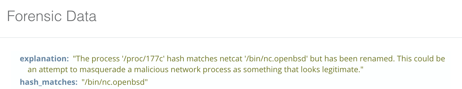 blog-imagessandfly-1-5-0-released09-netcat-masquerading-process