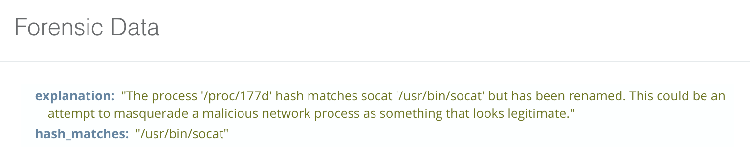 blog-imagessandfly-1-5-0-released10-socat-masquerding-process