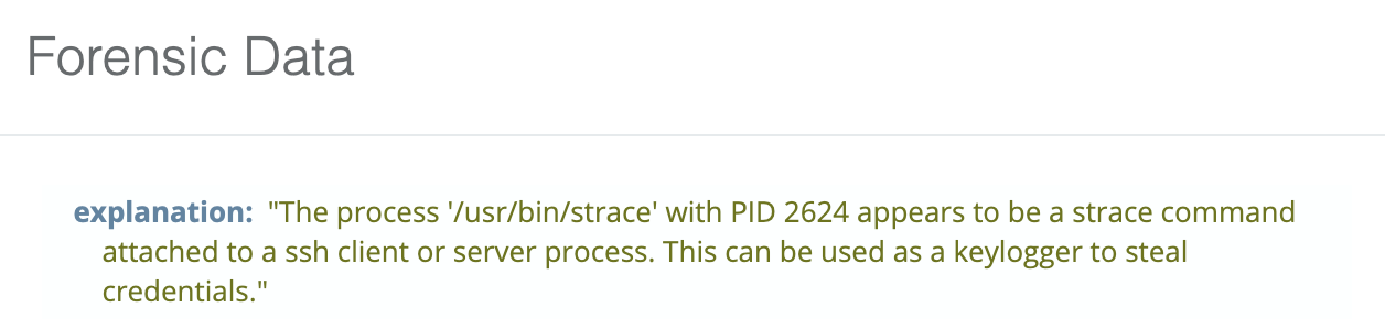 blog-imagessandfly-1-6-0-200-sandflies03-sandfly-process-strace-ssh-keylogger-explanation