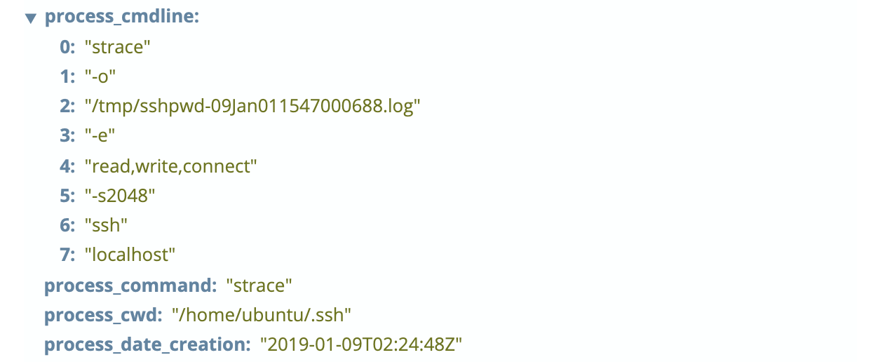 blog-imagessandfly-1-6-0-200-sandflies04-sandfly-process-strace-ssh-keylogger-process-info