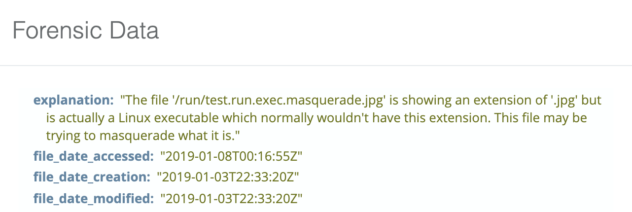 blog-imagessandfly-1-6-0-200-sandflies13-sandfly-file-binary-masquerade-type-mismatch-in-run-dir