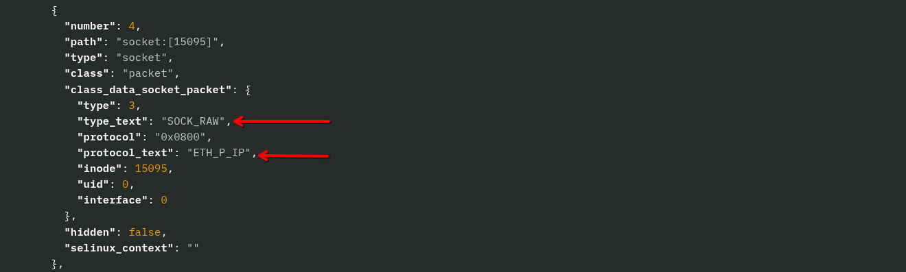 blog-imagessandfly-5-5-ai-powered-analysis-advanced-bpfdoor-detection-and-smarter-scanning14-bpfdoorv1-process-running-sniffer_operating_ipv4_traffic-raw-file-descriptors-1