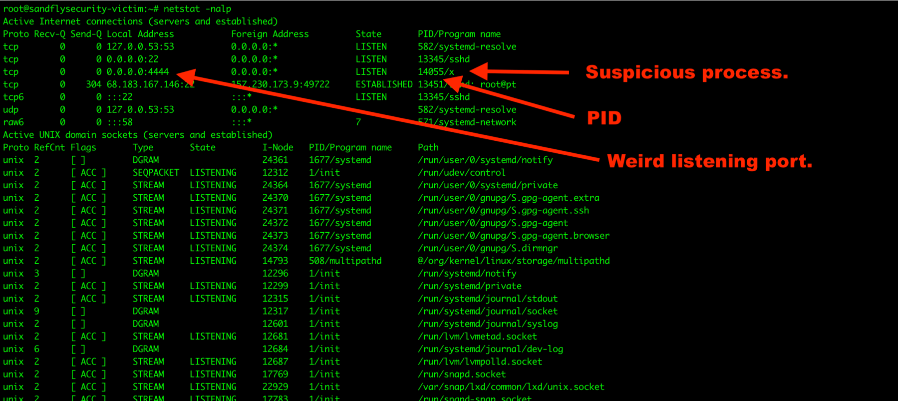 blog-imagesusing-linux-process-environment-variables-for-live-forensics02-process-envron-netstat