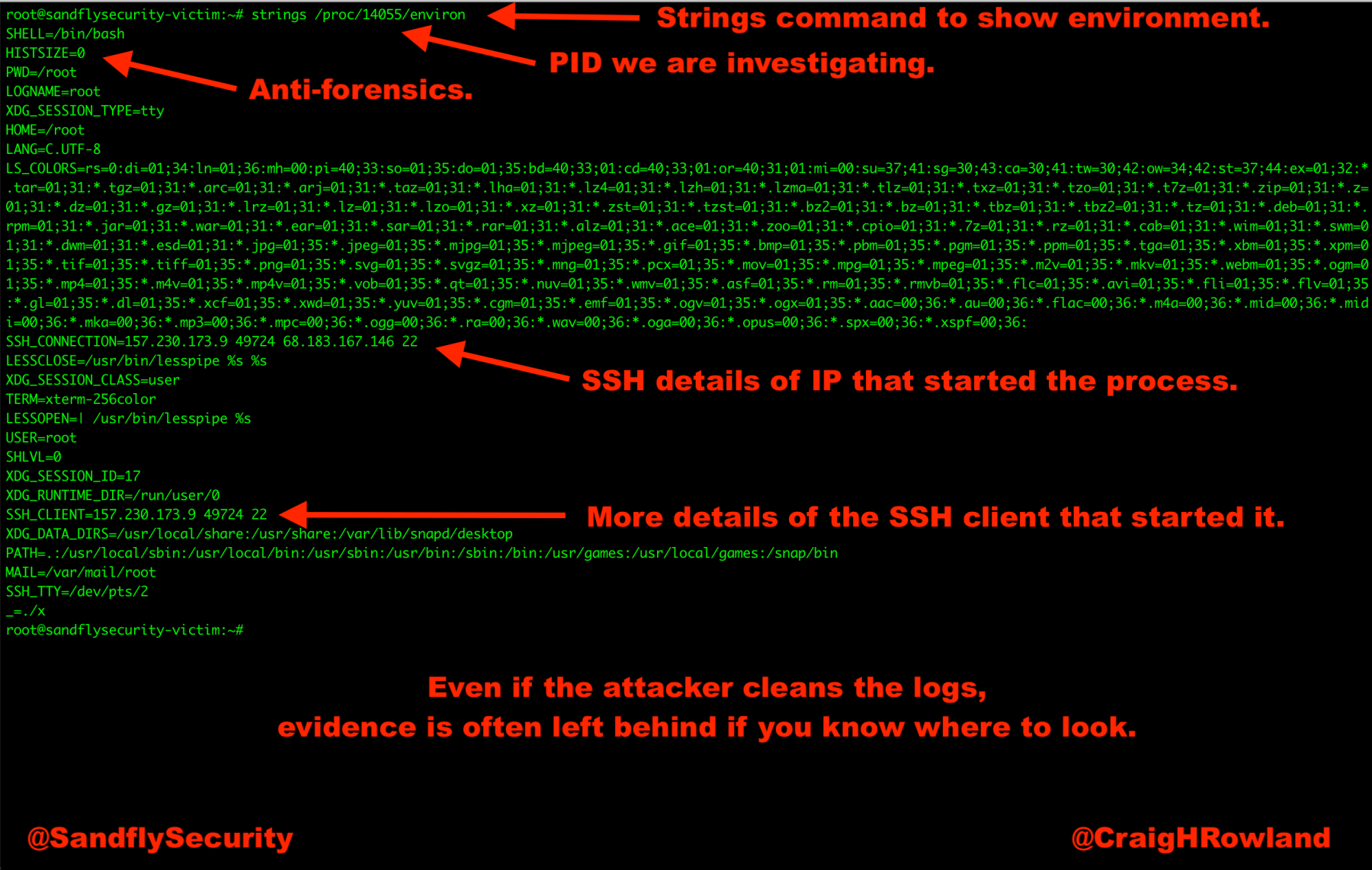 blog-imagesusing-linux-process-environment-variables-for-live-forensics03-process-environ-strings-listing