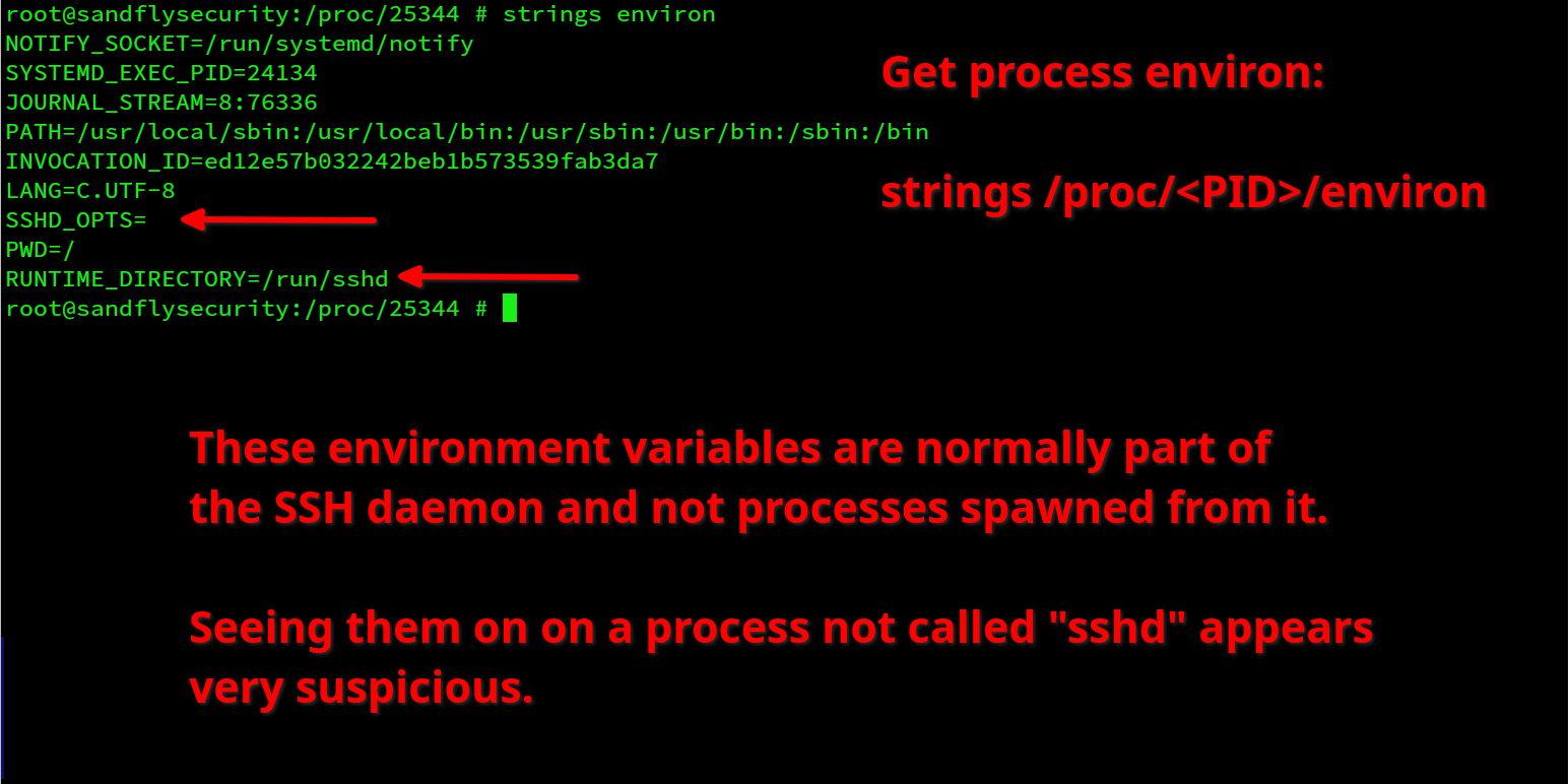 blog-imagesxz-ssh-backdoor-detection-strategies01-xz-sleep-process-environ