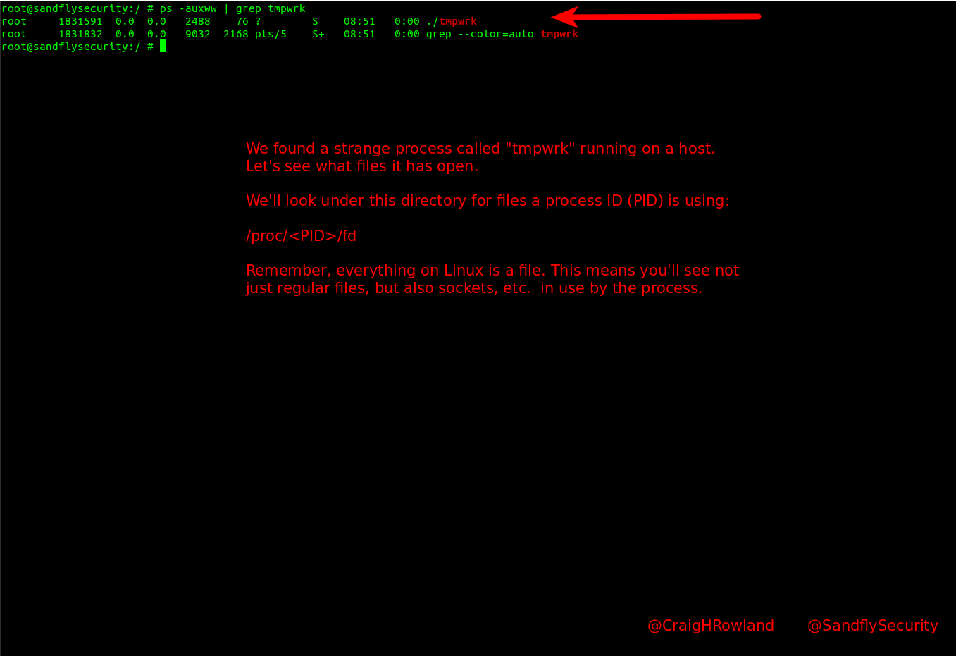 blog-imagesinvestigating-linux-process-file-descriptors-for-incident-response-and-forensics01-suspicious-fd-ps-listing