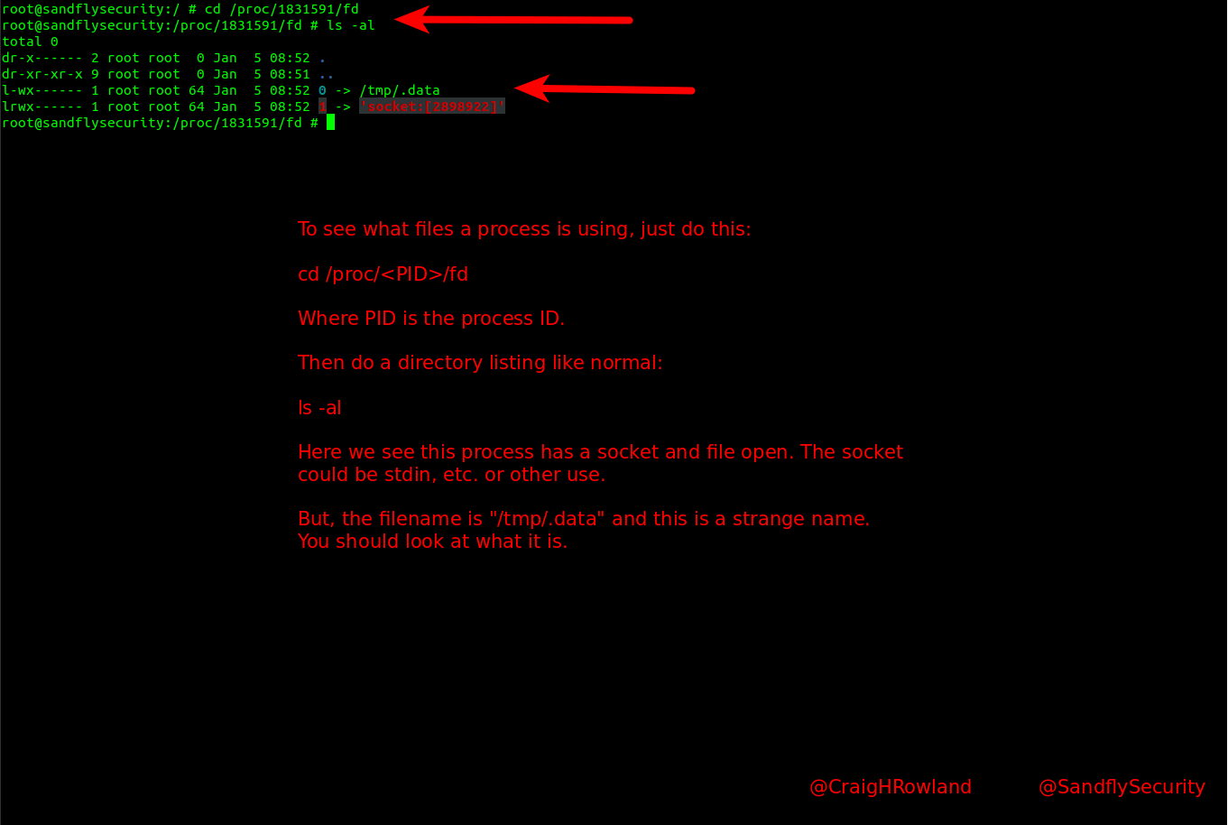 blog-imagesinvestigating-linux-process-file-descriptors-for-incident-response-and-forensics02-suspicious-fd-proc-listing