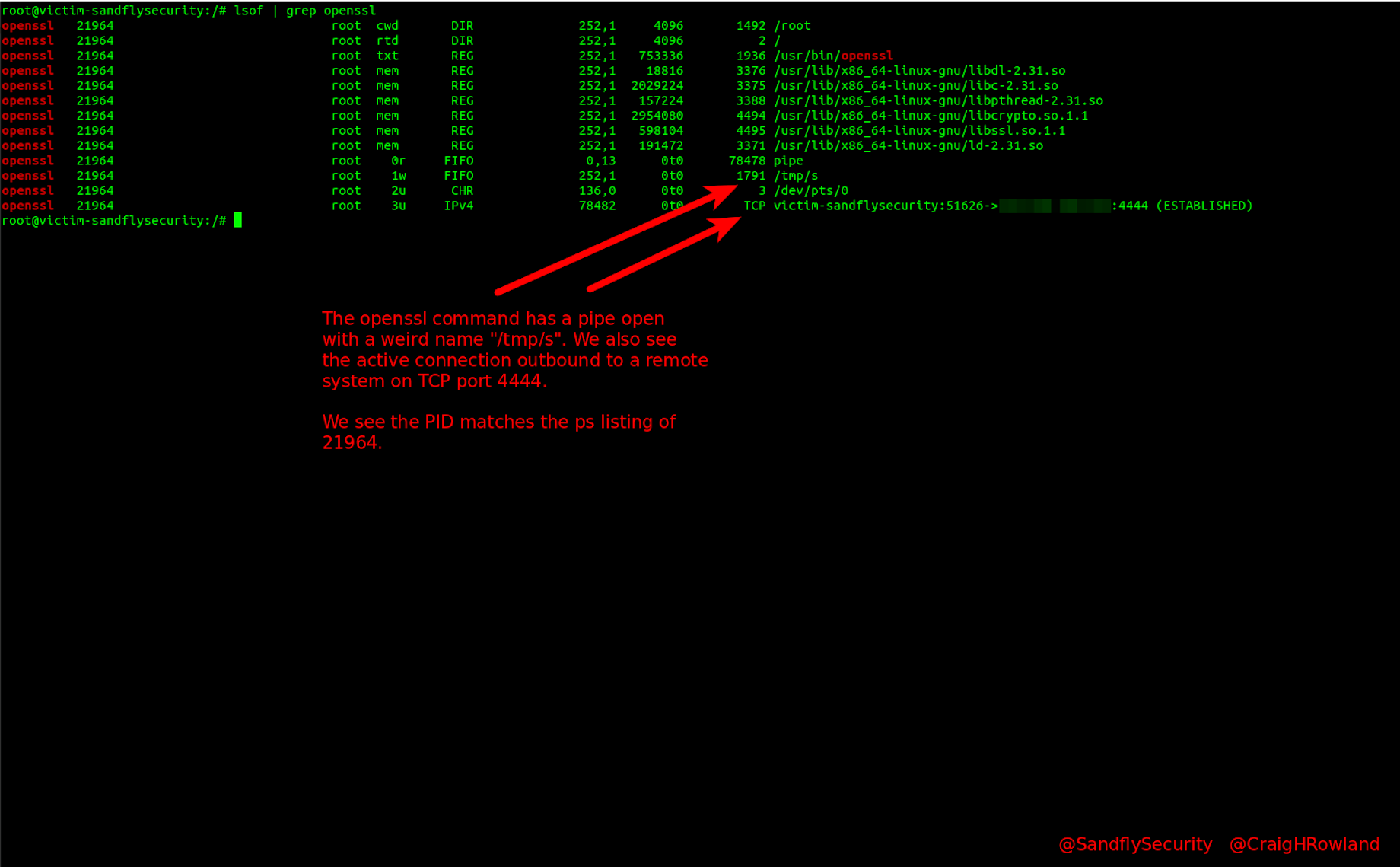1635216326-victim-lsof-openssl-view