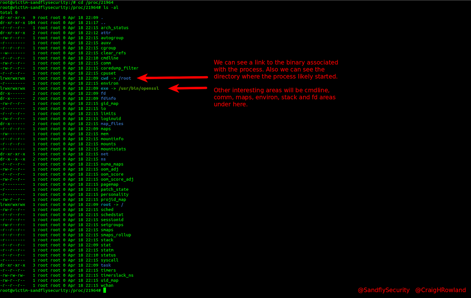 1635216341-victim-proc-cd-and-ls-listing