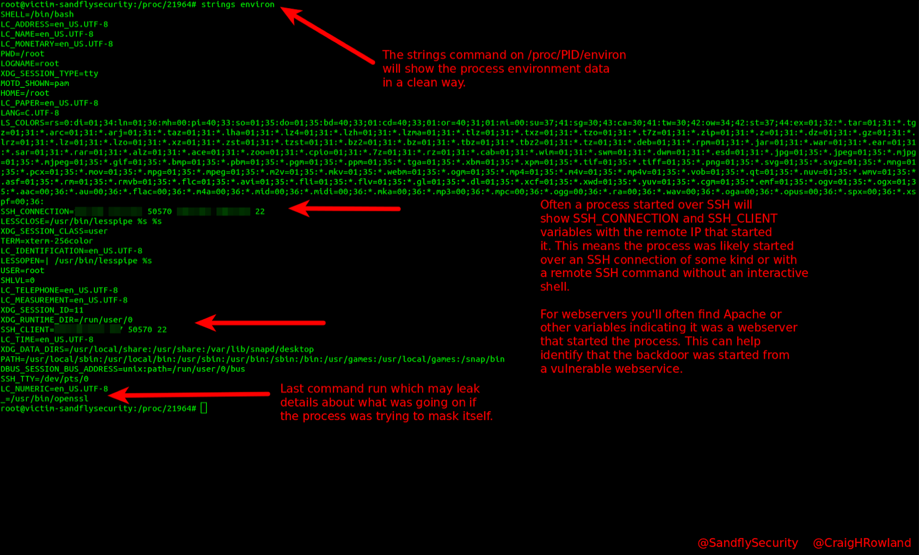1635216355-victim-proc-strings-environ