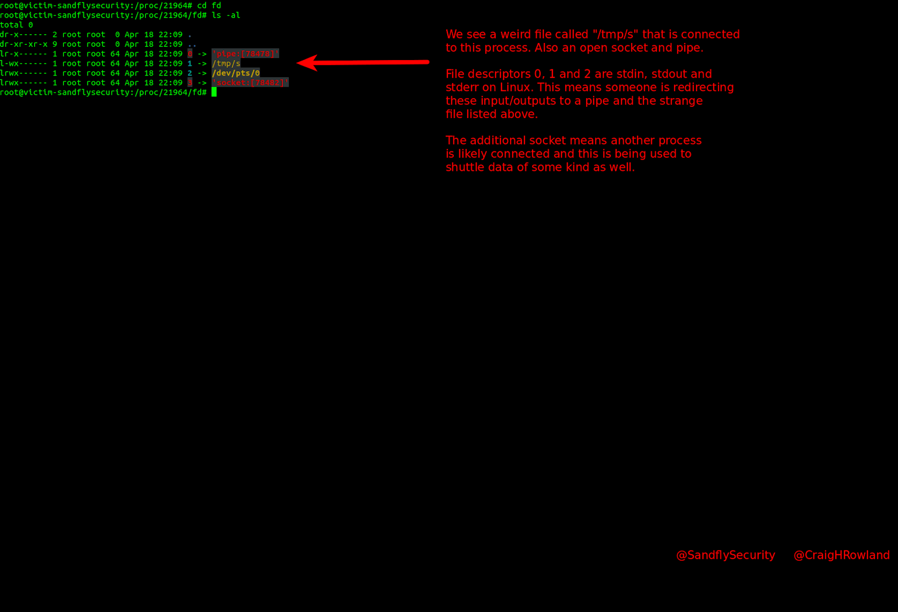 1635216372-victim-proc-cd-fd-ls-listing