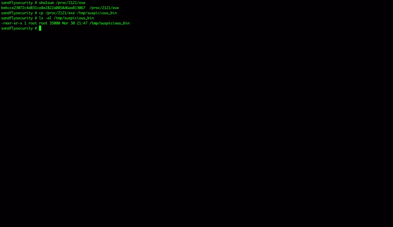 Detecting Linux Kernel Process Masquerading with Command Line Forensics07