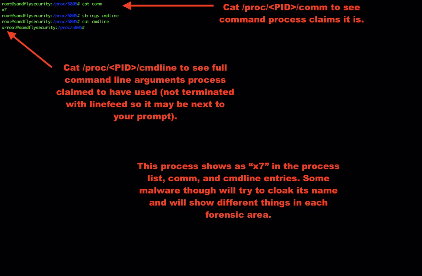 11-tmp-cmdline-e1569879191117.png