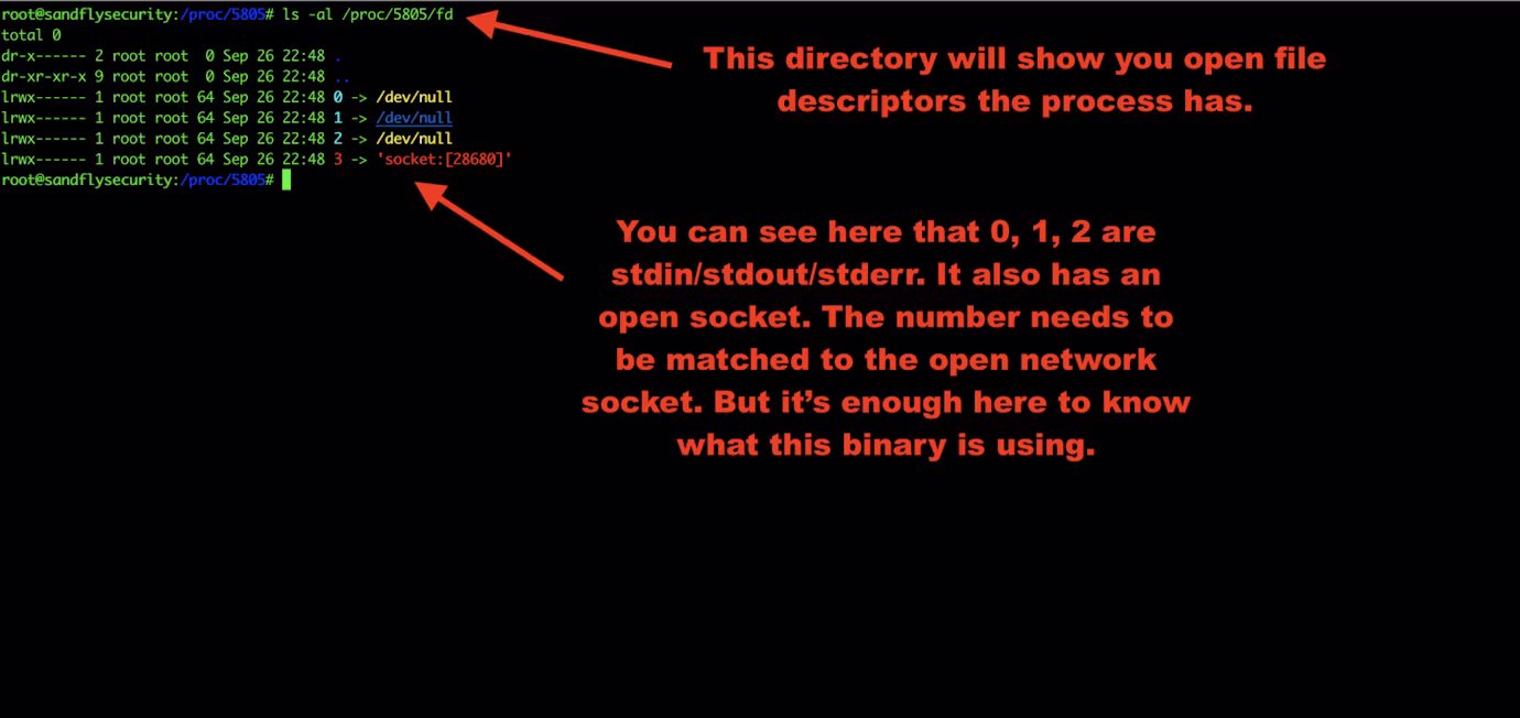 14-tmp-fd-open-e1569879336874.png