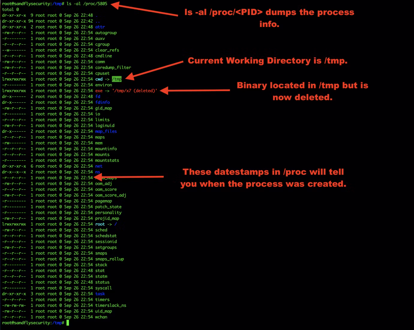 5-tmp-proc-listing-e1569879021288.png